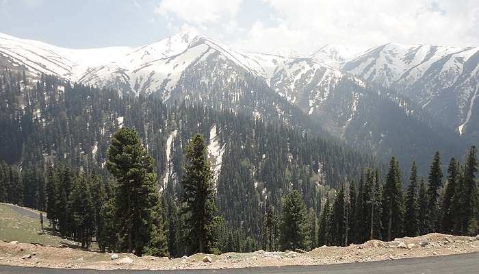 सिंथन टॉप कश्मीर में घूमने के लिए सबसे अच्छी जगह है
