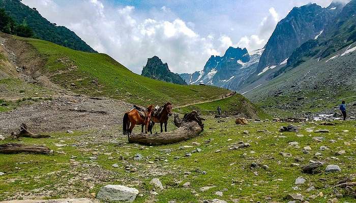 सोनमर्ग श्रीनगर के पास घूमने की जगहें है