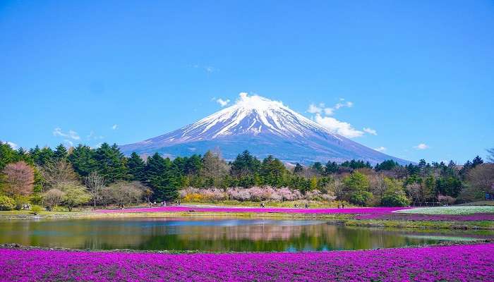 10 Captivating Reasons to Visit Japan: Unveiling the Land of Endless Wonders