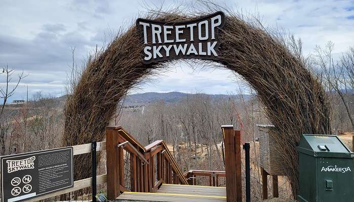 The view of a mountaintop adventure park Anakeesta, is among the ultimate amusement parks in Gatlinburg.