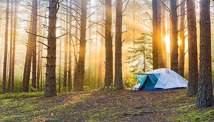 Camp Dietrich on Bear Creek, one of the peaceful campsites in Pennsylvania