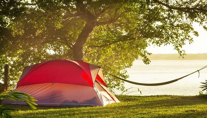 Subtropical climate and grasslands offer some of the top camping sites in Florida