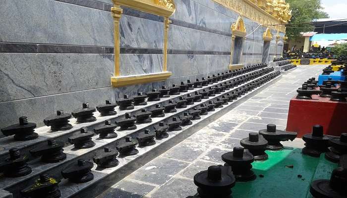 View of the Small Shiva Lingas in Kotilingeshwara temple