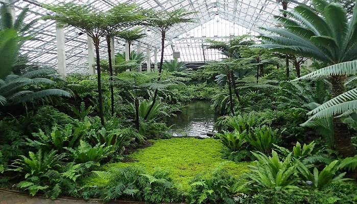 A majestic view of Garfield Park Conservatory, one of the best hidden gems in Chicago