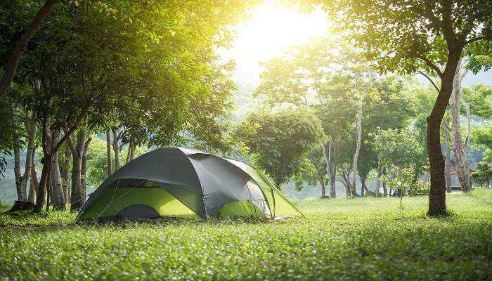 Experience the Mongolian Yurt in the peaceful campsite of Kent