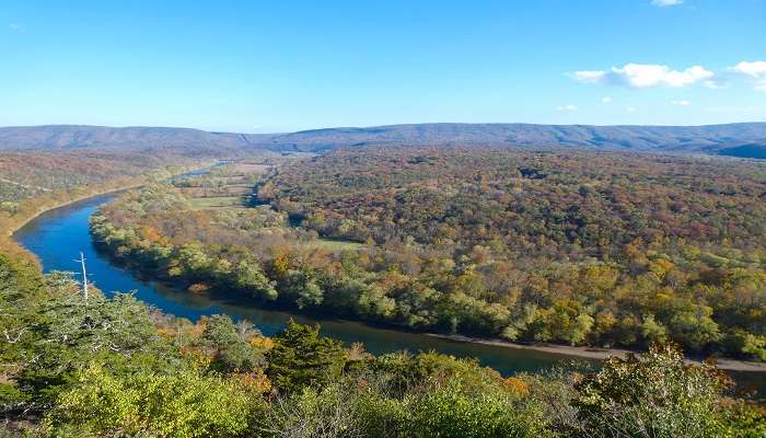 The breathtaking views of Green Ridge State Forest and Potomac River.