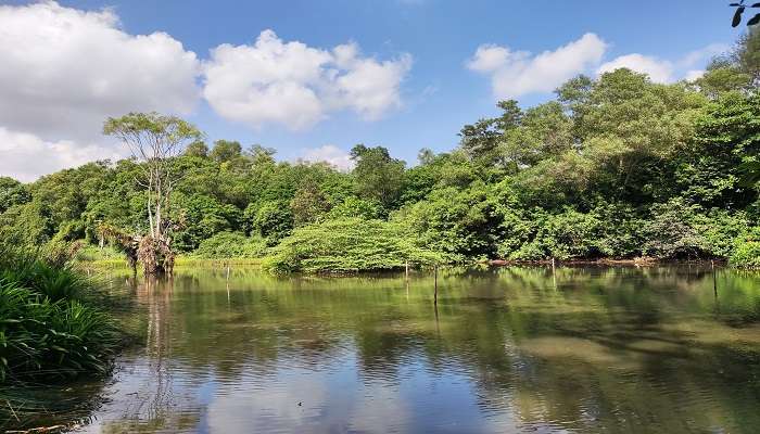 A rustic green sanctuary of over three hectares, among the hidden gems in Singapore.