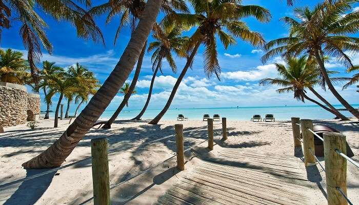 Feeling adventurous? Explore campgrounds on the beach in Florida and experience the beautiful Florida Keys.