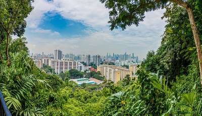 La vue panoramique sur les toits de Singapour depuis le parc du Mont Faber.