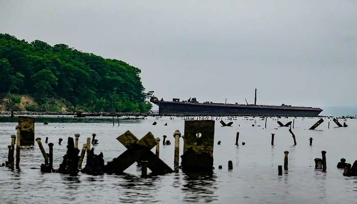 The view of the ghost fleet of Mallows Bay, a collection of historic shipwrecks.