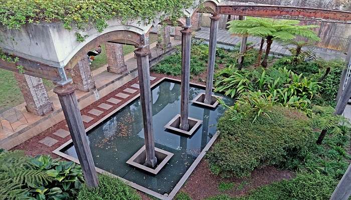  Being one of the most well hidden gems in Sydney, Paddington Reservoir Garden is a perfect blend of old and new.