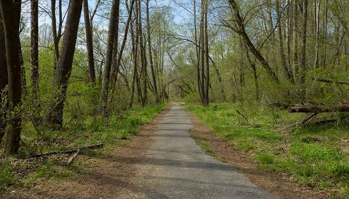 The Alberton Road Trail Path of Patapsco Valley State Park, among the hidden gems in Maryland.