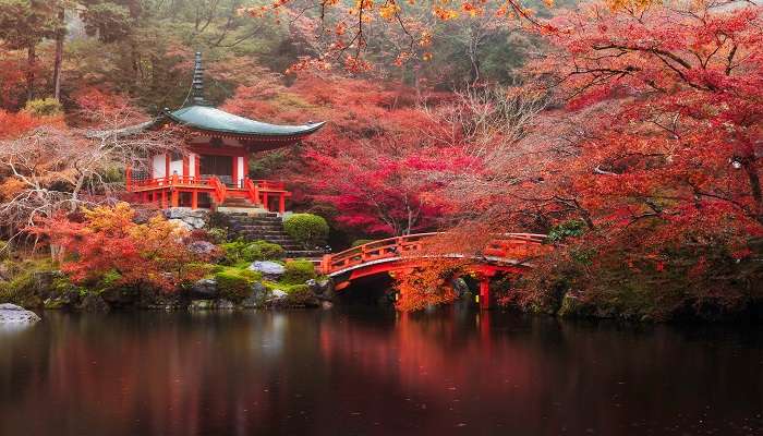 One of the best reasons to visit Japan is its picturesque landscapes.