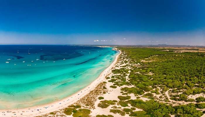 Plage Es Trenc Majorque, C’est l’une des meilleurs plages en Espagne