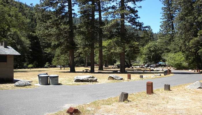 Poukaraka Flats Campground amazes its visitors with scenic landscapes of the wilderness