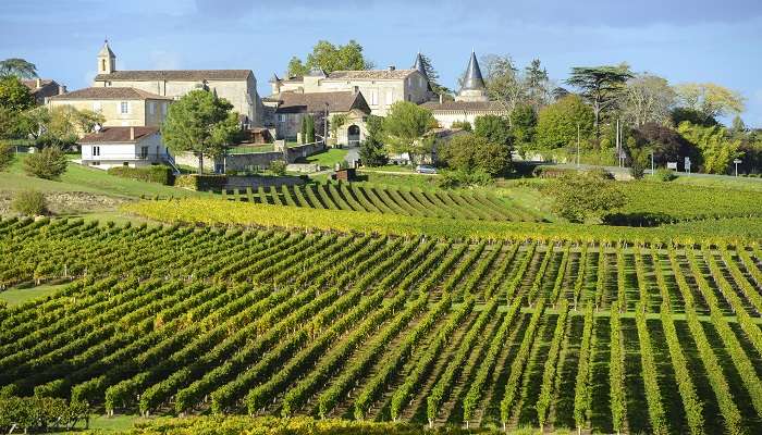 The scenic landscape of vineyards in Saint Emilion, among the beautiful villages in France. 