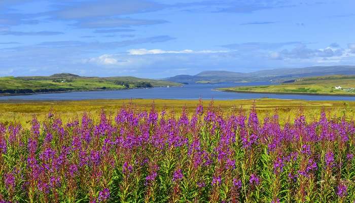 Immerse yourself in the view of the most picturesque campsites in Isle of Skye