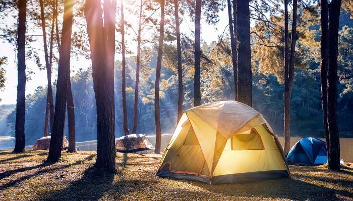 Experience the lakeside camping beside the beautiful St.Andrews Lake