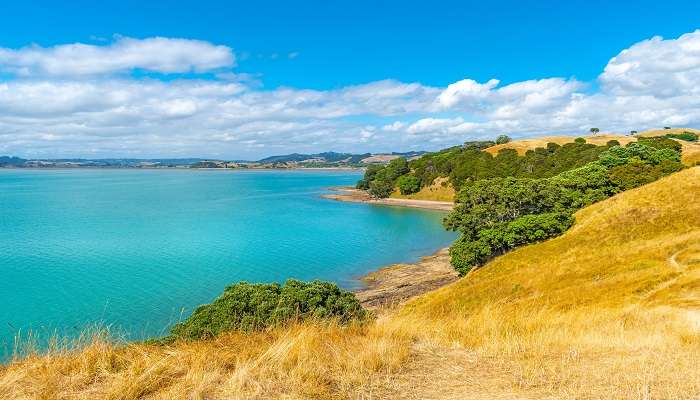 Tawharanui Regional Park is counted as the best camping site in Auckland for beach lovers