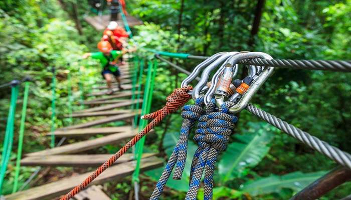 Just a few minutes from downtown Nashville, Adventure Park is one of the best adventure parks in Nashville