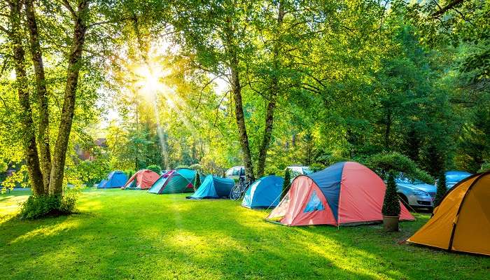 Take the dreamy haven experience in one of the best Campsite in Kent