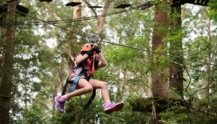 With several activities and obstacles that include zip lines and Tarzan swings, Treetop Adventure Park is a great challenge