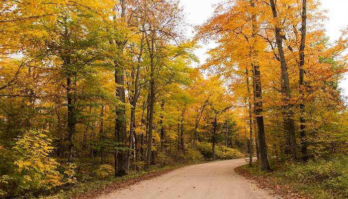 The view of a road in Ellison Bay, Northern Door County.