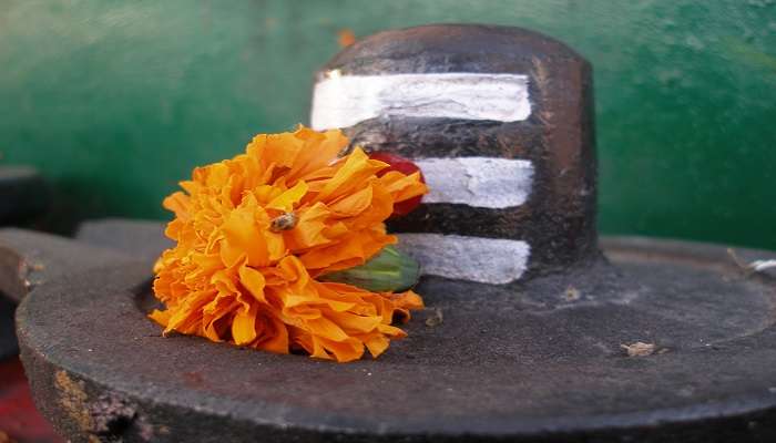 Offering flower to Shiva Linga in Kotilingeshwara Temple.