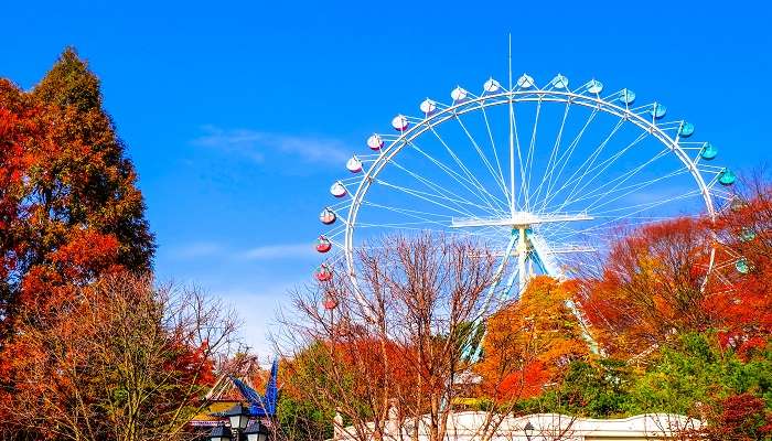 Amusement parks in Korea