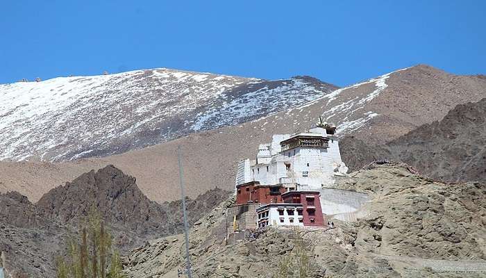अगर आप लद्दाख के आध्यात्मिक पहलू के करीब जाना चाहते हैं तो इस मठ की यात्रा अवश्य करें