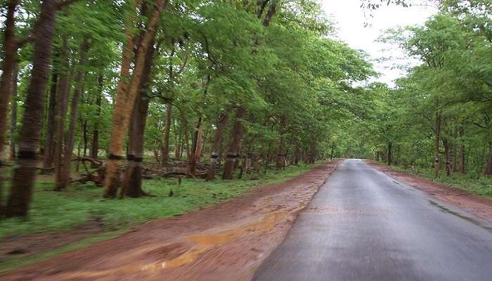 विशाखापत्तनम जिले में स्थित, लांबासिंगी अगस्त में दक्षिण भारत में घूमने की जगहें कम प्रसिद्ध स्थानों में से एक है