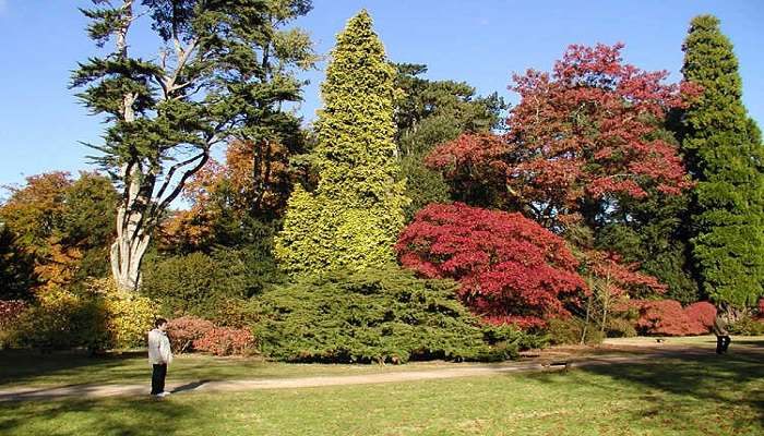 A beautiful lodging area at the Arboretum 