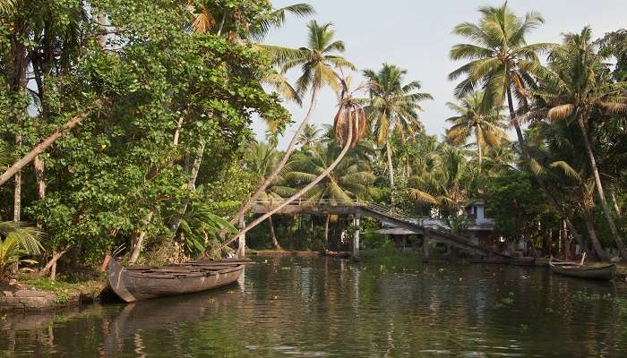A houseboat resting on Kerala’s backwater