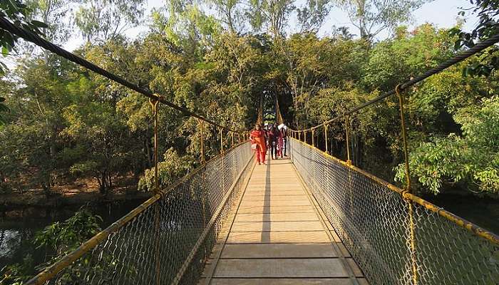 A bridge across River Kaveri in Nisargadhama Deer Park