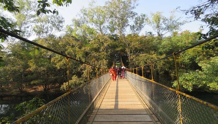 Bridge to the Nisargadhama Forest 