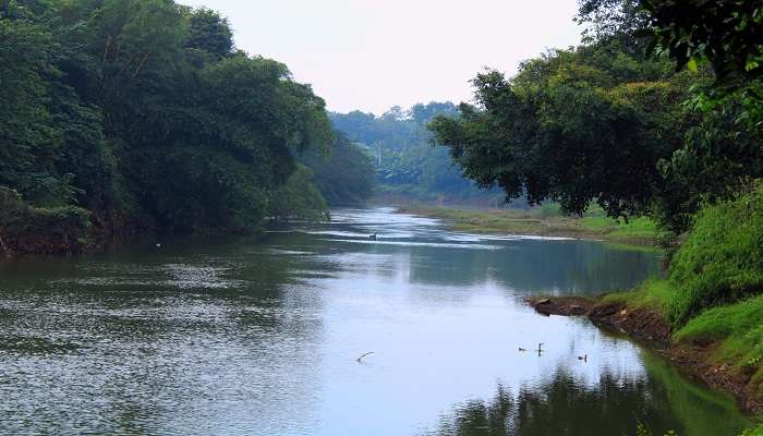 The panoramic view of Achankovil River.
