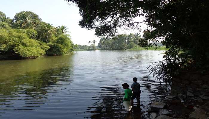 Kids fishing at Achankovil River
