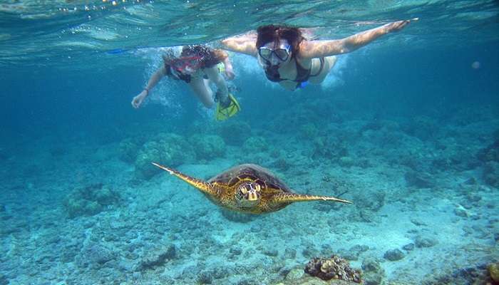 You can enjoy various water activities while visiting Ha Long Bay like snorkeling
