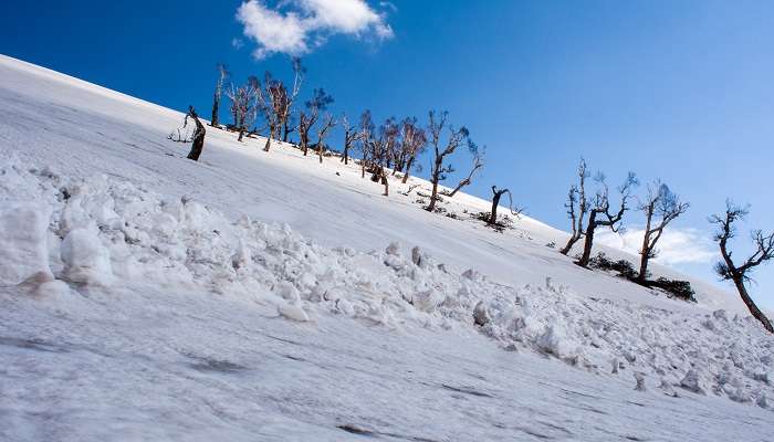 Snow-covered Sinthan Top