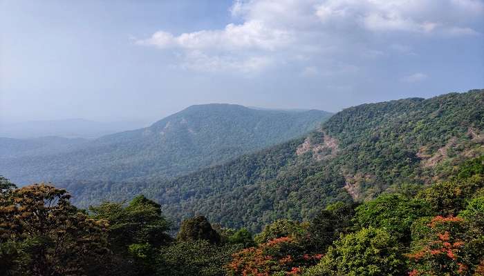 Agumbe is among the top offbeat places in Karnataka for trip with loved ones