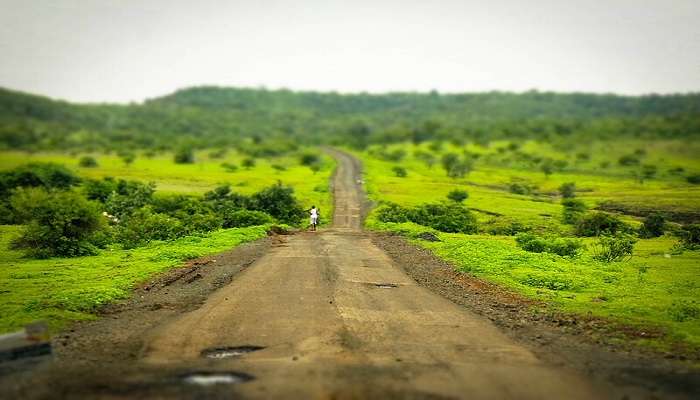 Vikarabad is close to Ananthagiri Hills, a popular spot for trekking near Hyderabad, featuring dense forests and Ananthagiri Temple.