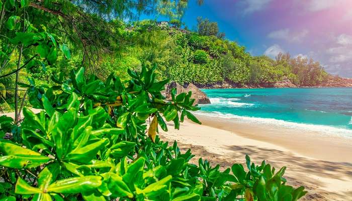 Breathtaking journey to Anse Forbans Beach