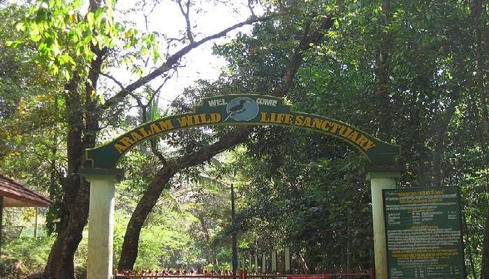 Spot wildlife at Aralam Wildlife Sanctuary Kannur a must-visit destination near Thirunelli Temple Kerala. 