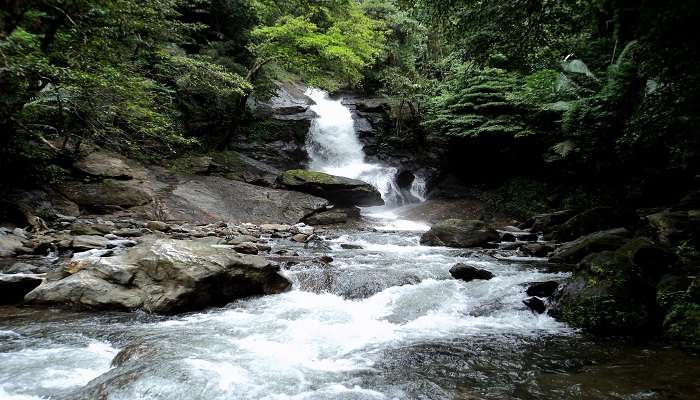 A view of cascading waterfall in Kerala