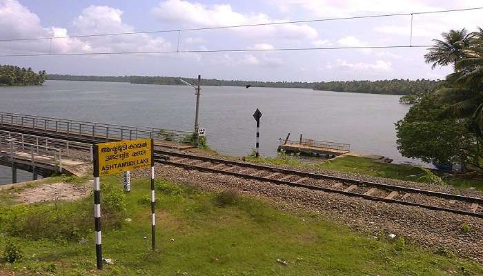 Danau Ashtamudi dekat Kuil Arackal Devi