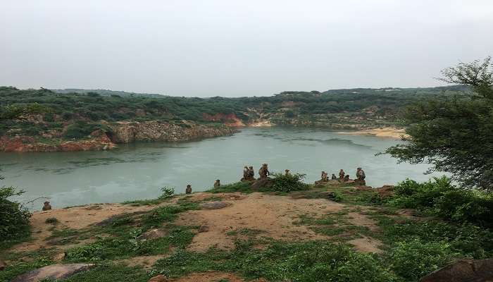 A thrilling view of Asola Bhatti Wildlife Sanctuary that you can visit for trekking near Gurgaon