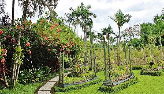  Discover the Bali botanical garden near Handara Gate. 