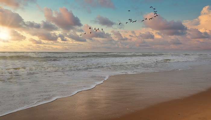 Baliharachandi Beach is among the finest offbeat places near Puri