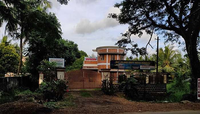 Driftwood Museum is a must visit place around Paradise Resort Kumarakom Kerala. 