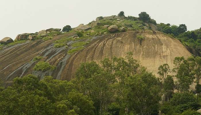 The panoramic views of Nijagal Siddara Betta hills.